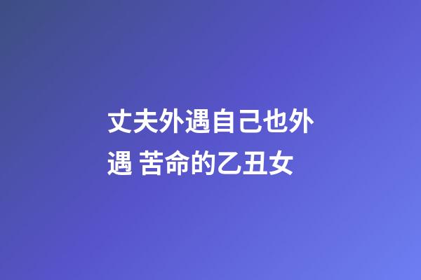 丈夫外遇自己也外遇 苦命的乙丑女